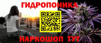 гидра Краснодар